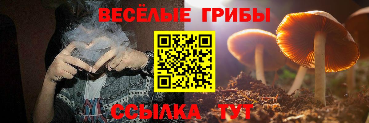 Псилоцибиновые грибы Magic Shrooms Киселёвск